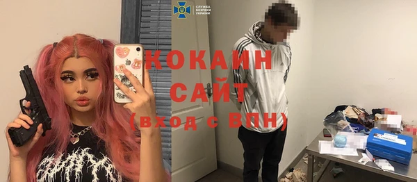гидра Алексин