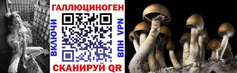 ОМГ ОМГ ссылка  Полтавская  Псилоцибиновые грибы прущие грибы 